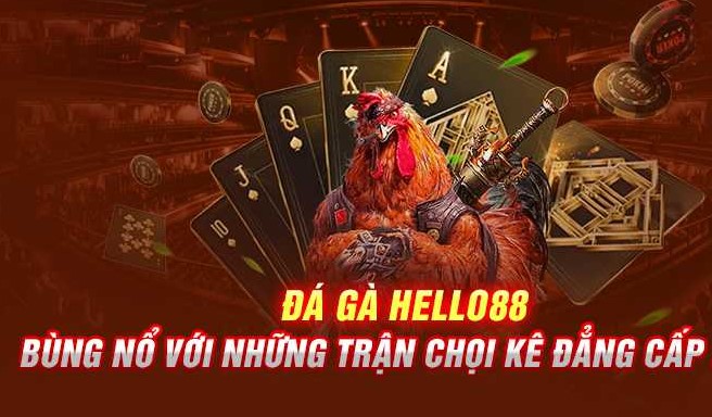 Đá Gà Hello88 - Đấu Trường Gà Chọi Xanh Chín Hàng Đầu 2 Tổng quan đôi nét về đá gà Hello88