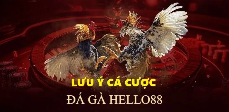 Đá Gà Hello88 - Đấu Trường Gà Chọi Xanh Chín Hàng Đầu 3 Tỷ lệ đặt cược hấp dẫn
